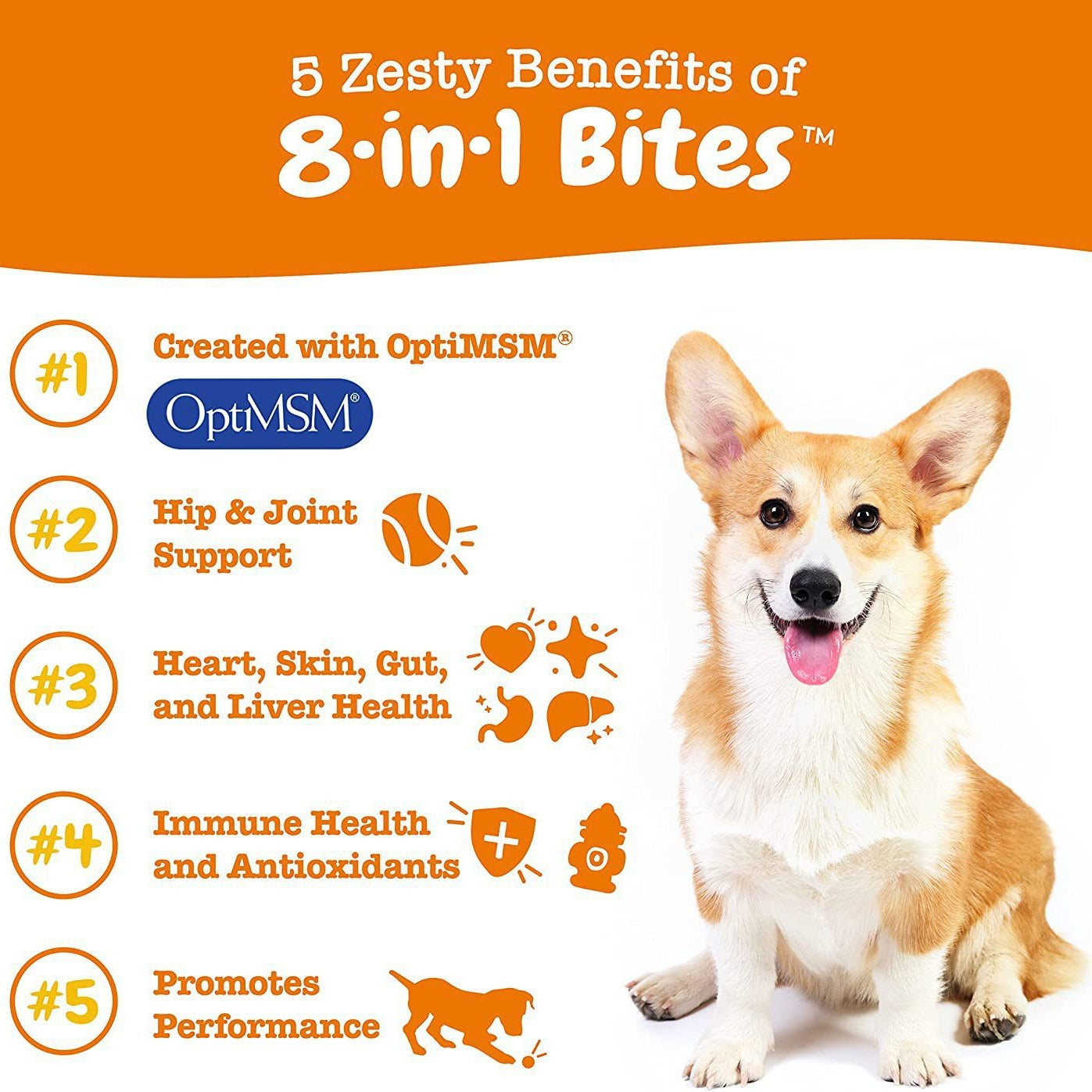 8 in 1 Multivitamin Supplement for Dogs
