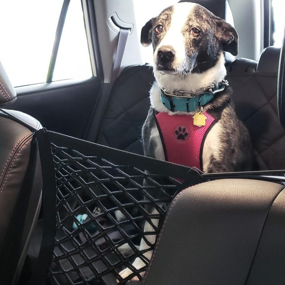 Pet Car Safety Net