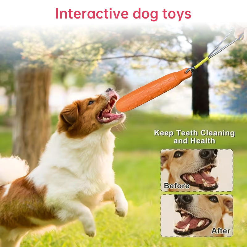 Floating Dog Bumper