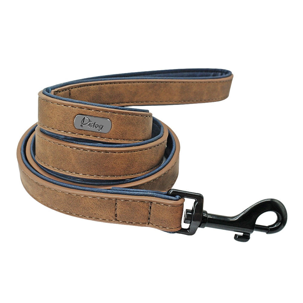 Personalized Leather Collar/Leash