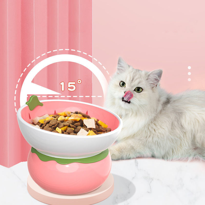 Ceramic Raised Food/Water Bowl