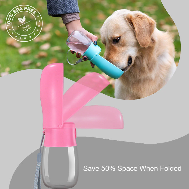 Travel Water Bottle