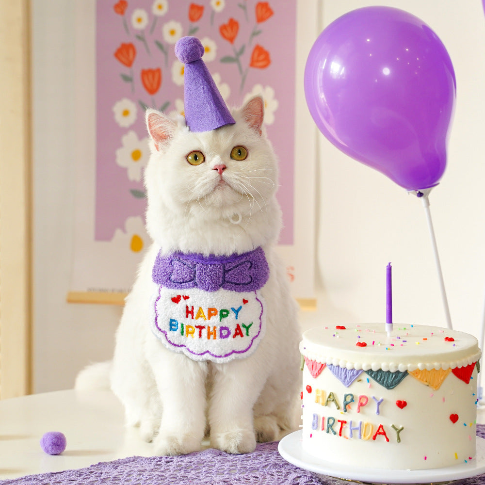 Pet birthday Suit