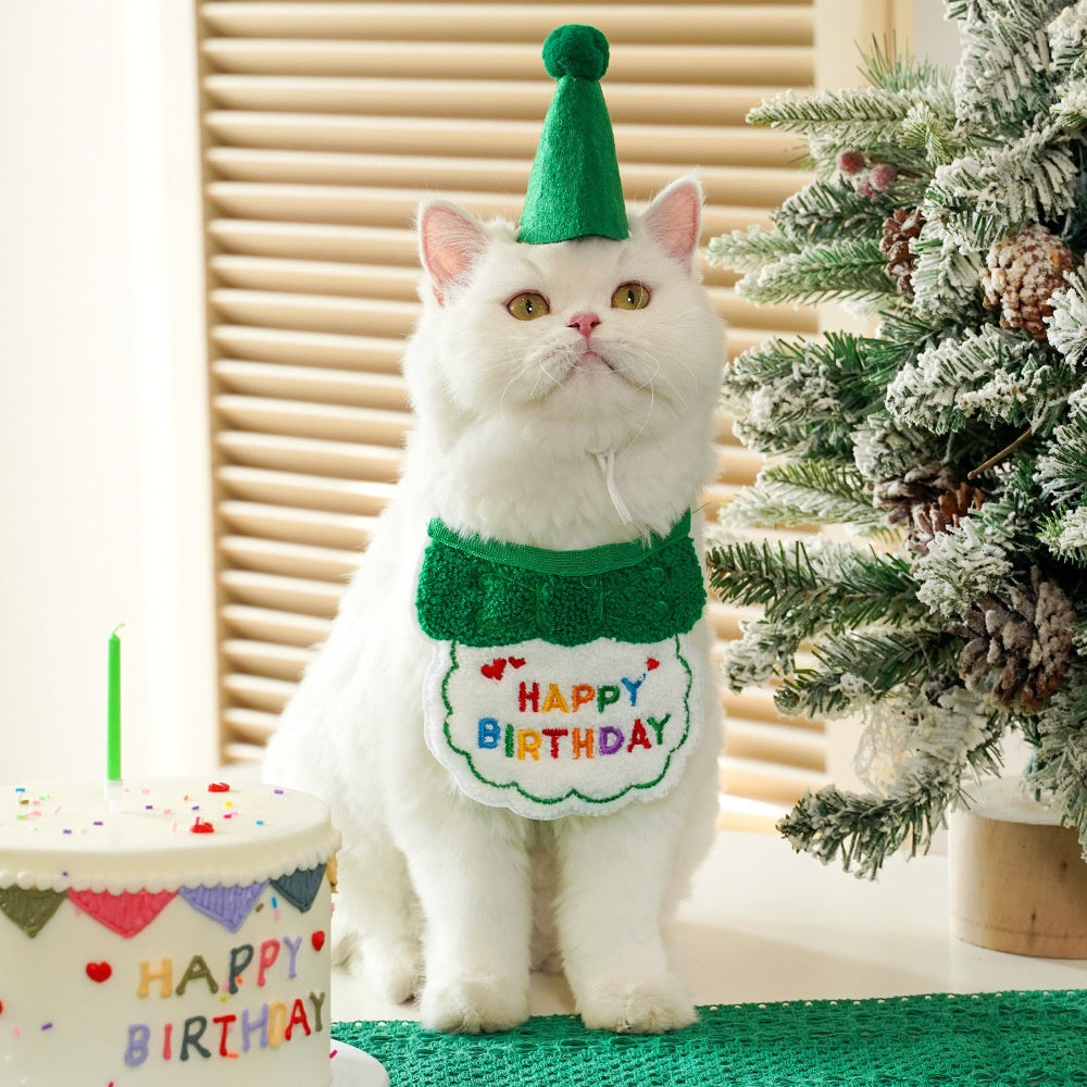 Pet birthday Suit