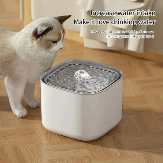3L Water Fountain