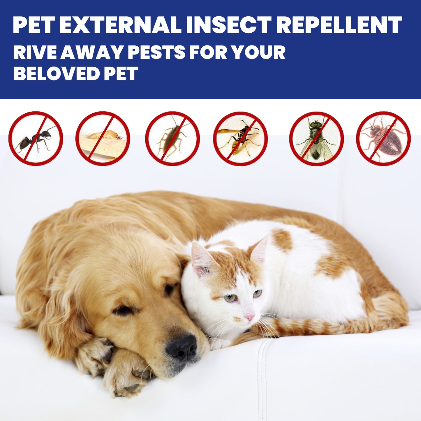 Insect Repellent Spray