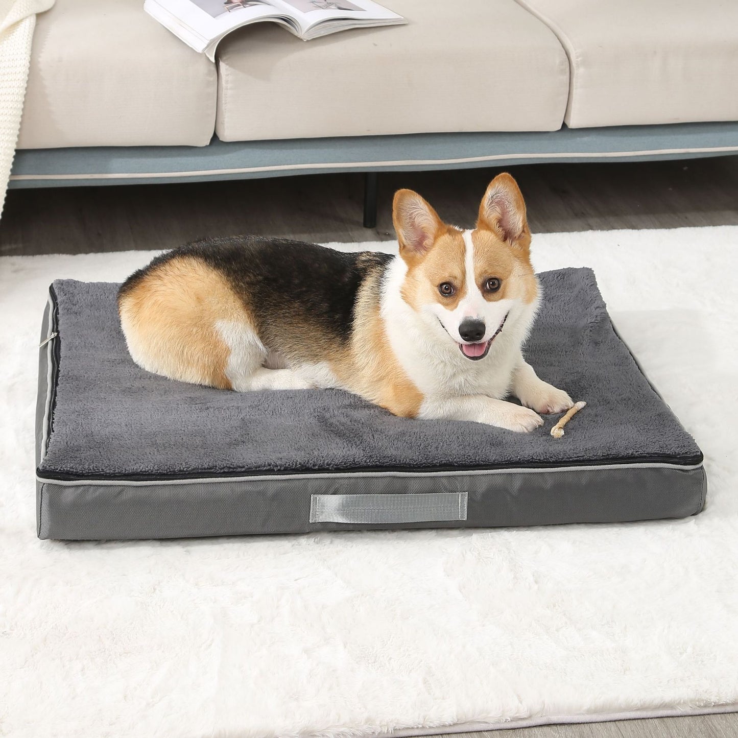Memory Foam Pet Bed