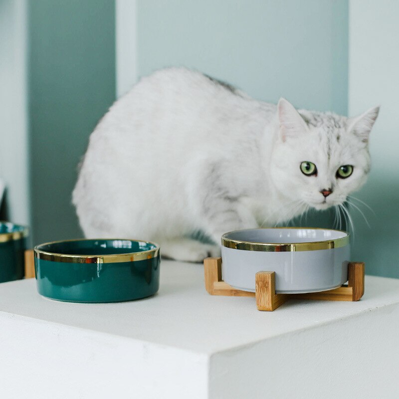 Ceramic Food/Water Bowl with Bamboo Stand