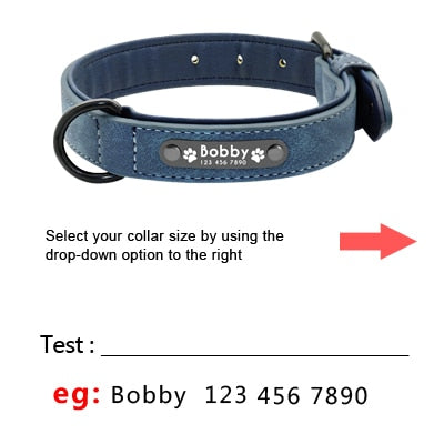 Personalized Leather Collar/Leash