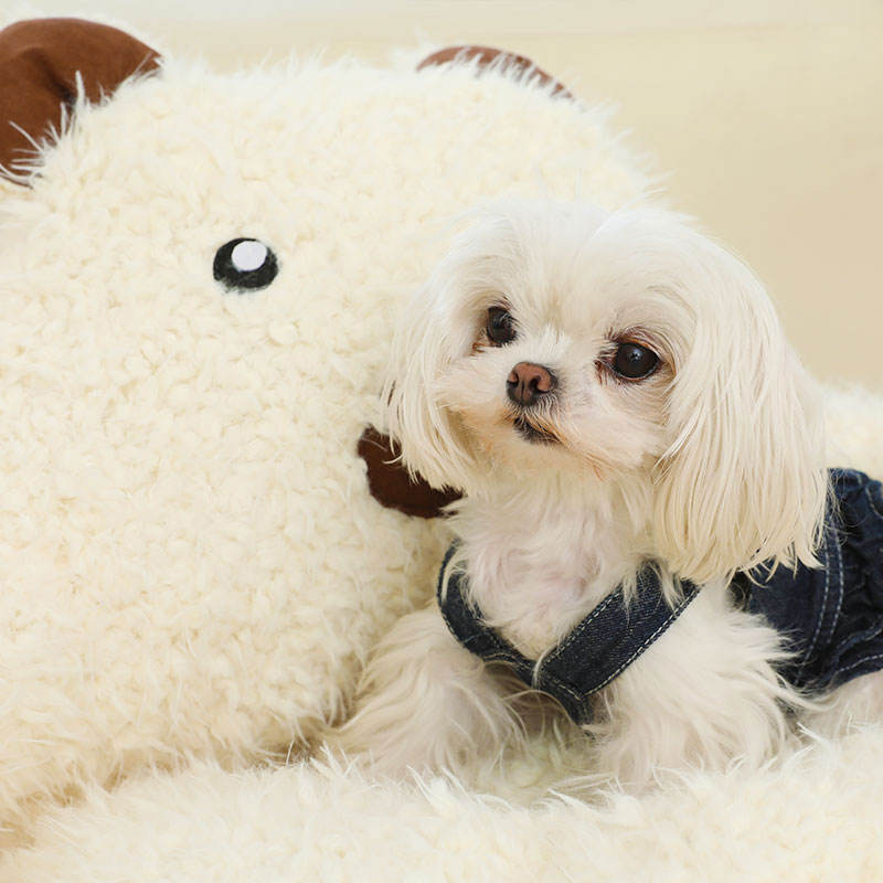 Pet Bed