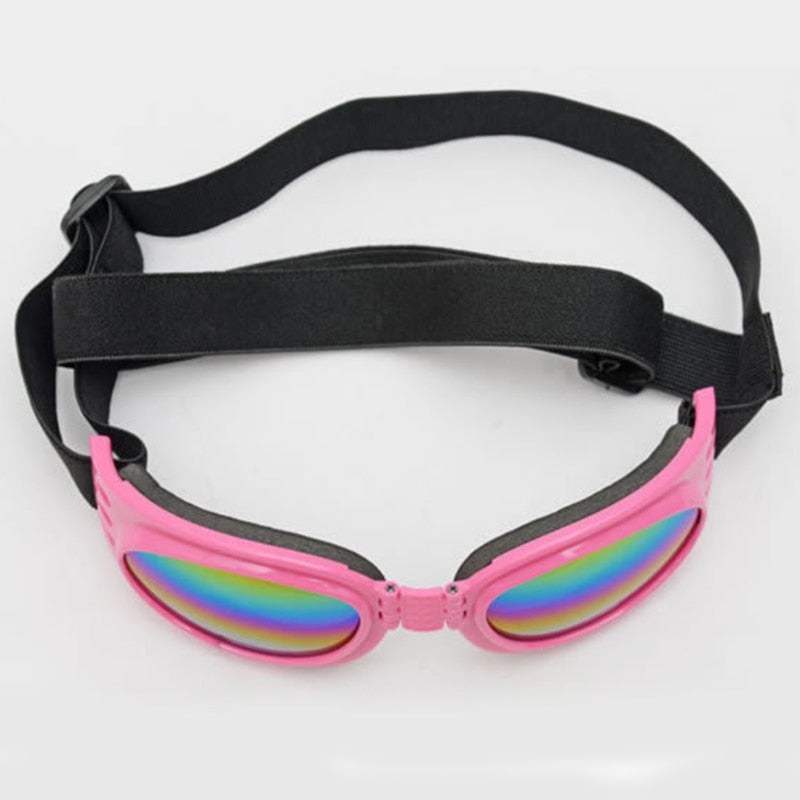 Pet Goggles