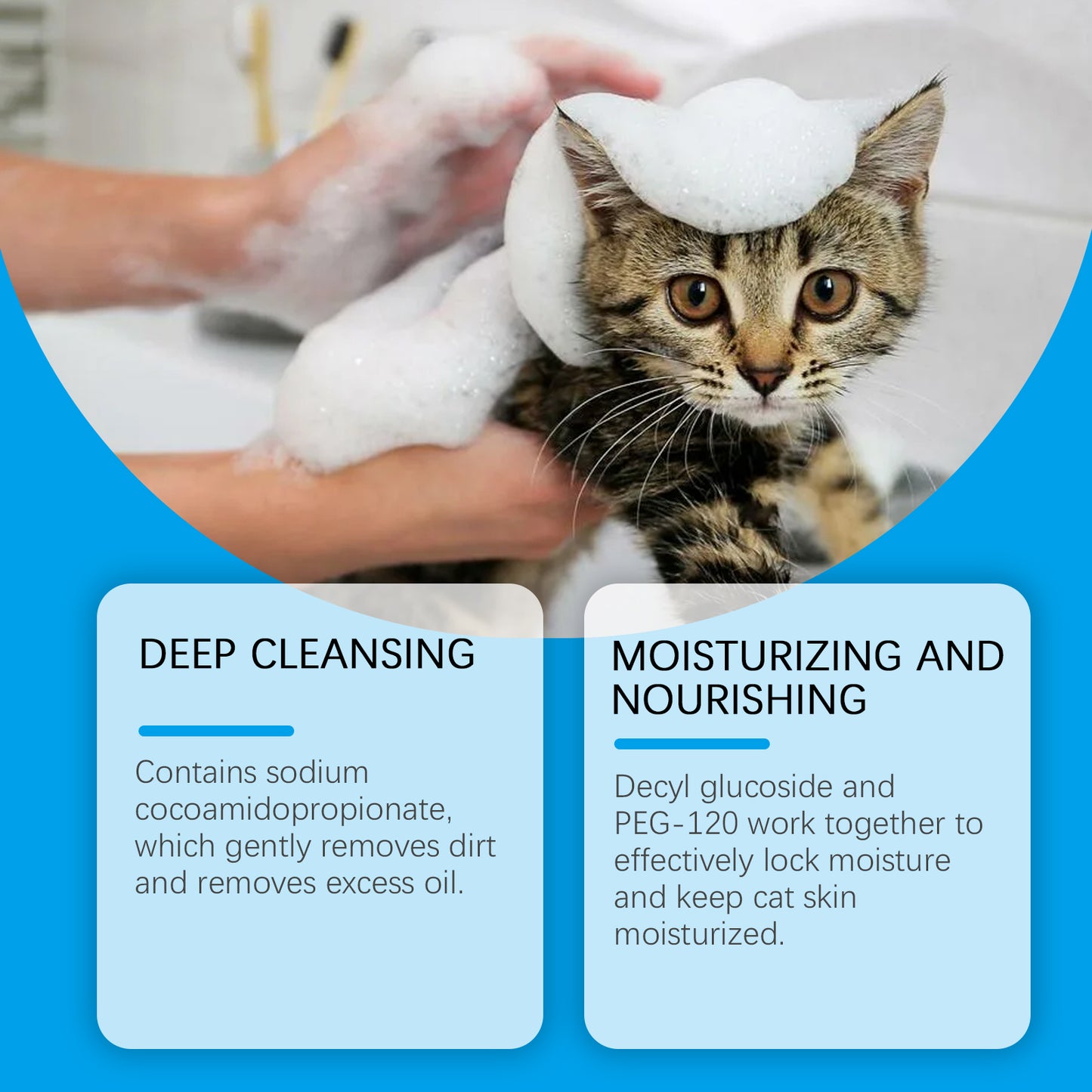 Cat dry shampoo