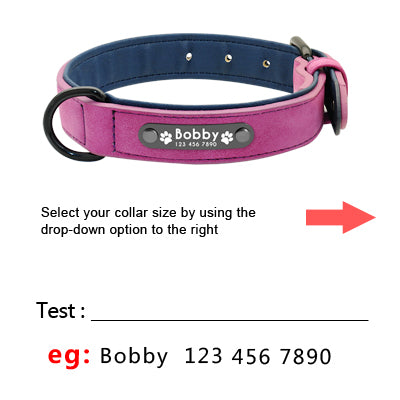 Personalized Leather Collar/Leash