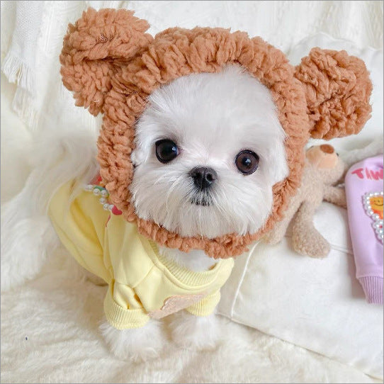 Cute Pet Hats