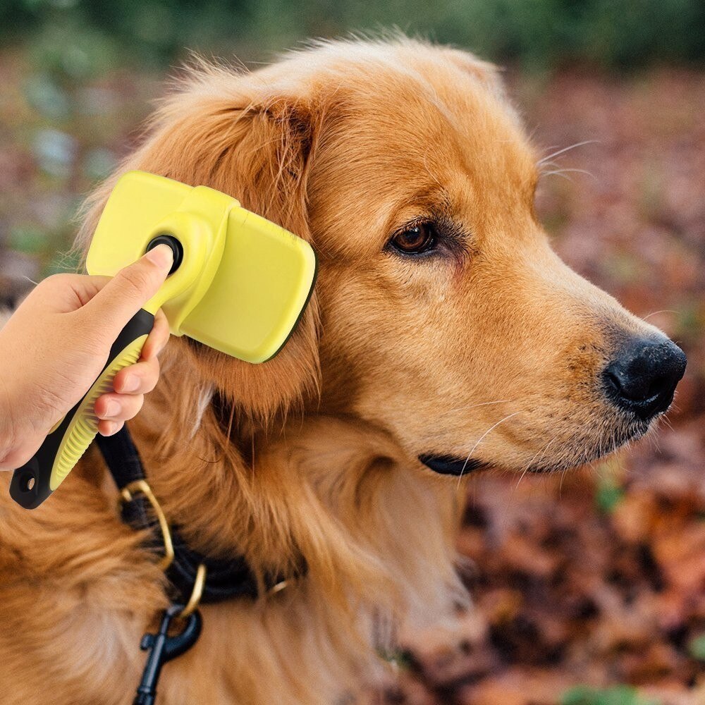 Self Cleaning Slicker Brush