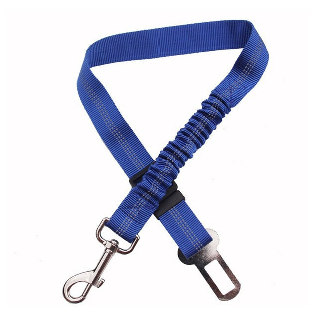 Car seatbelt tether