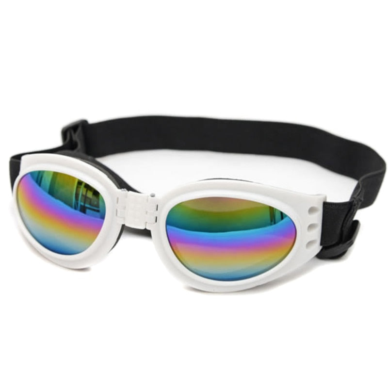 Pet Goggles