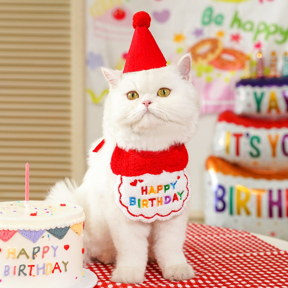 Pet birthday Suit