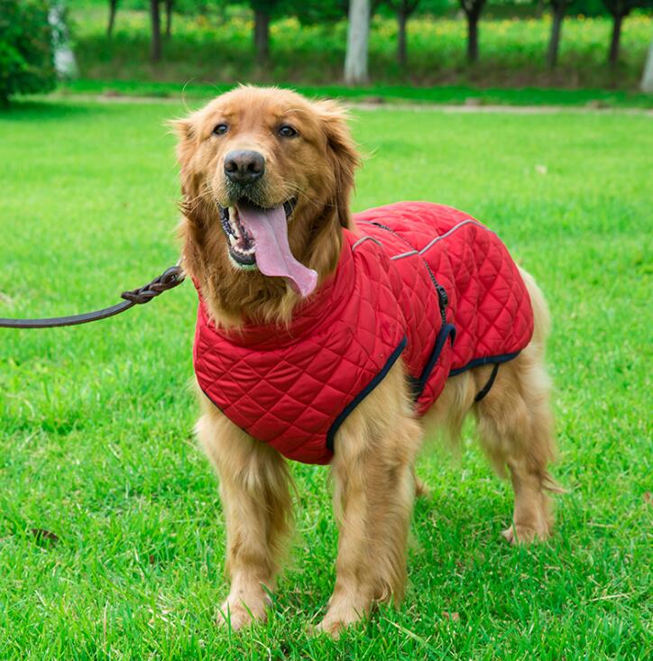 Winter Coat