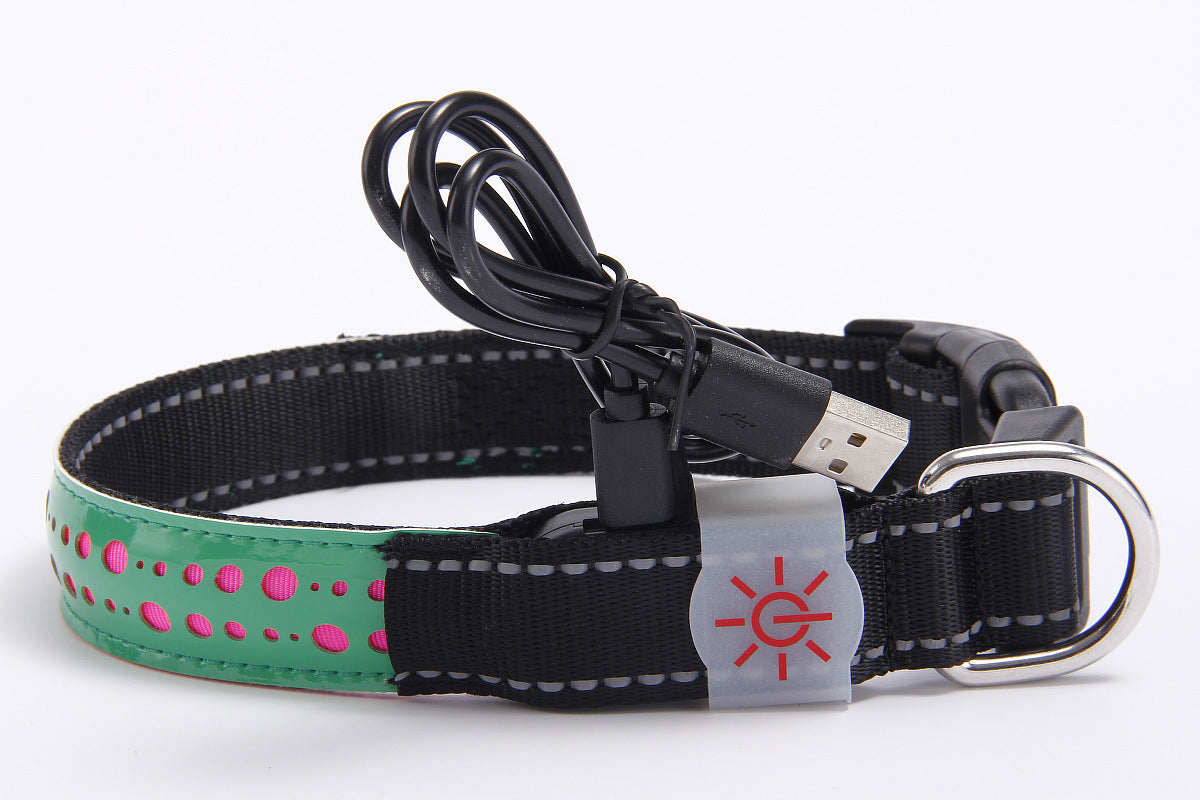 LED Rechargeable Collar