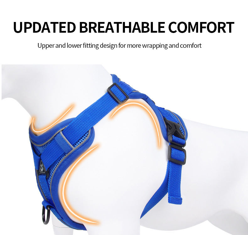 Reflective Y Front Harness/Leash Set