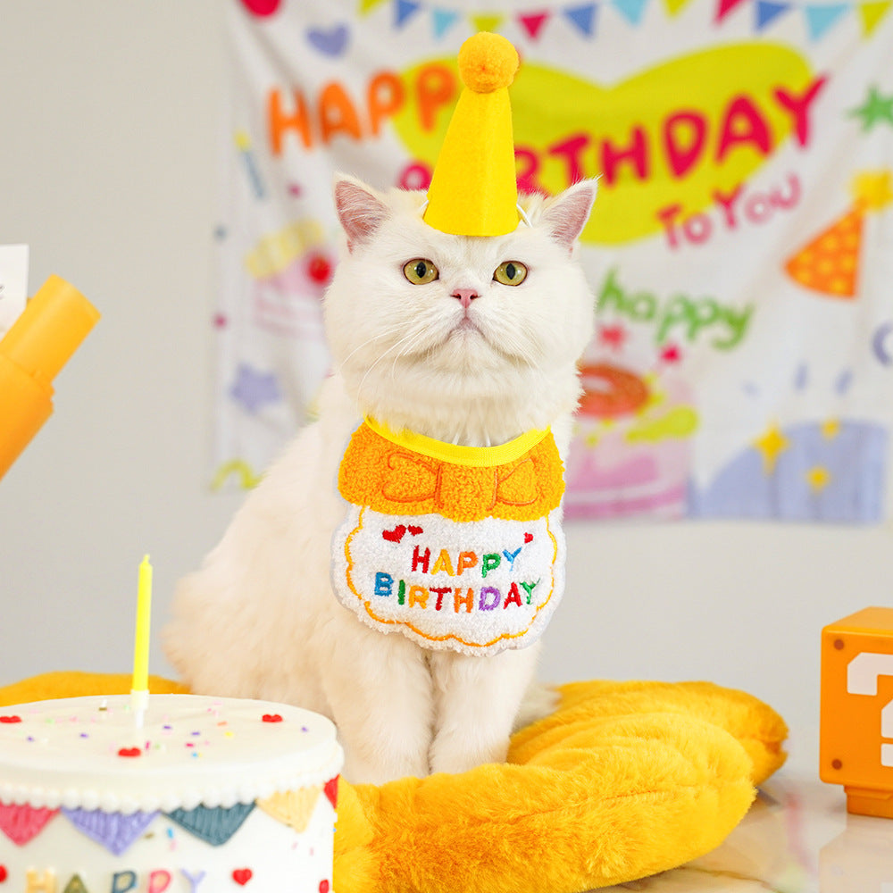 Pet birthday Suit