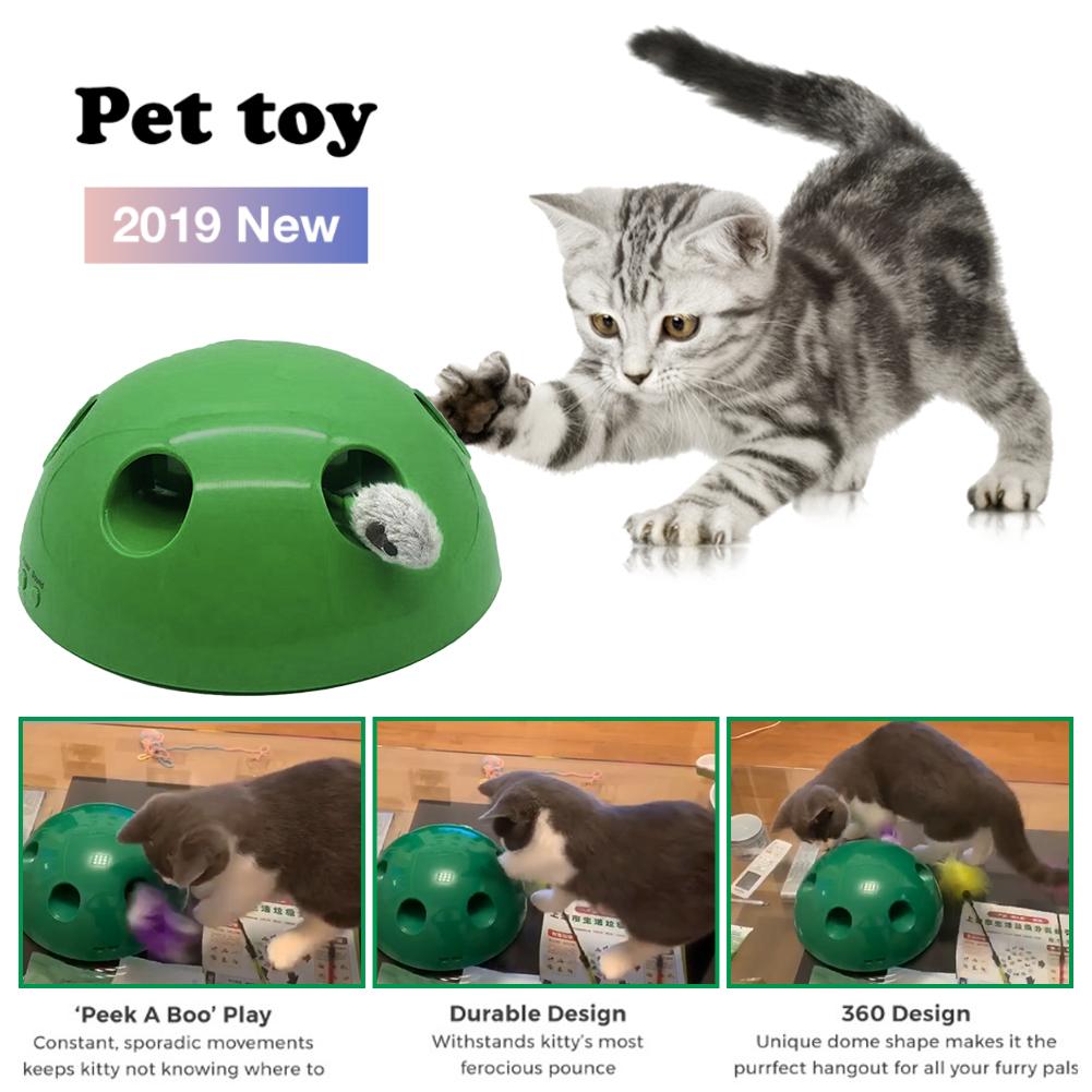 Peek a Boo Cat Toy