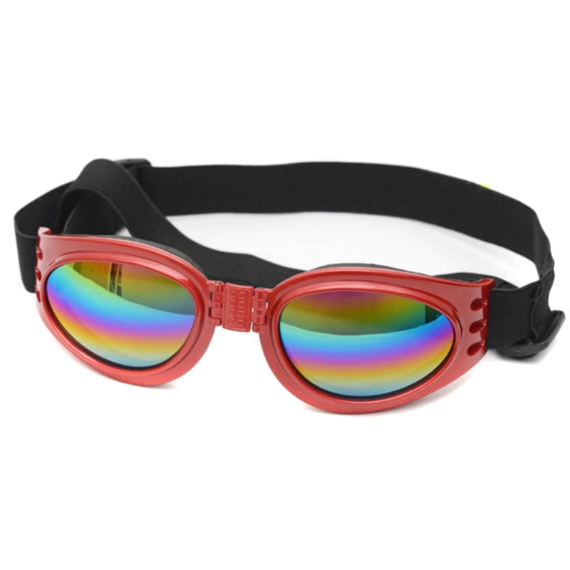Pet Goggles