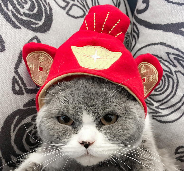 Cute Pet Hats