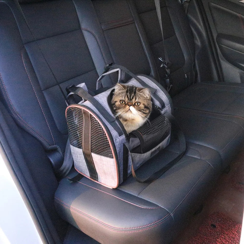 Cat/ Small Dog Backpack Carrier