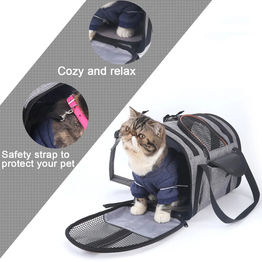 Cat/ Small Dog Backpack Carrier