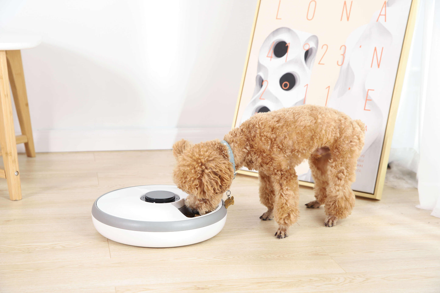 Small dog/cat 6 meal automatic feeder