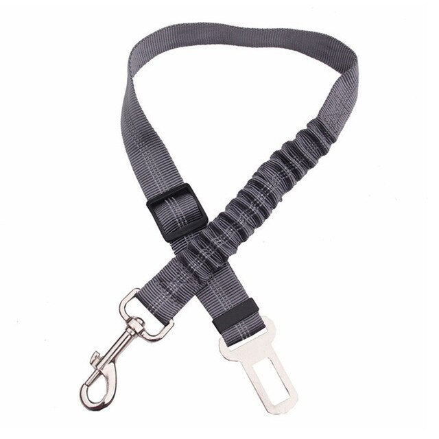 Car seatbelt tether