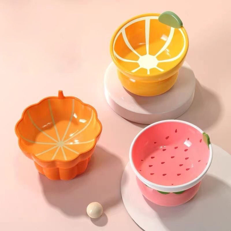 Ceramic Raised Food/Water Bowl