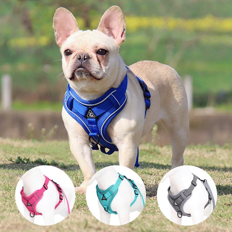 Reflective Y Front Harness/Leash Set