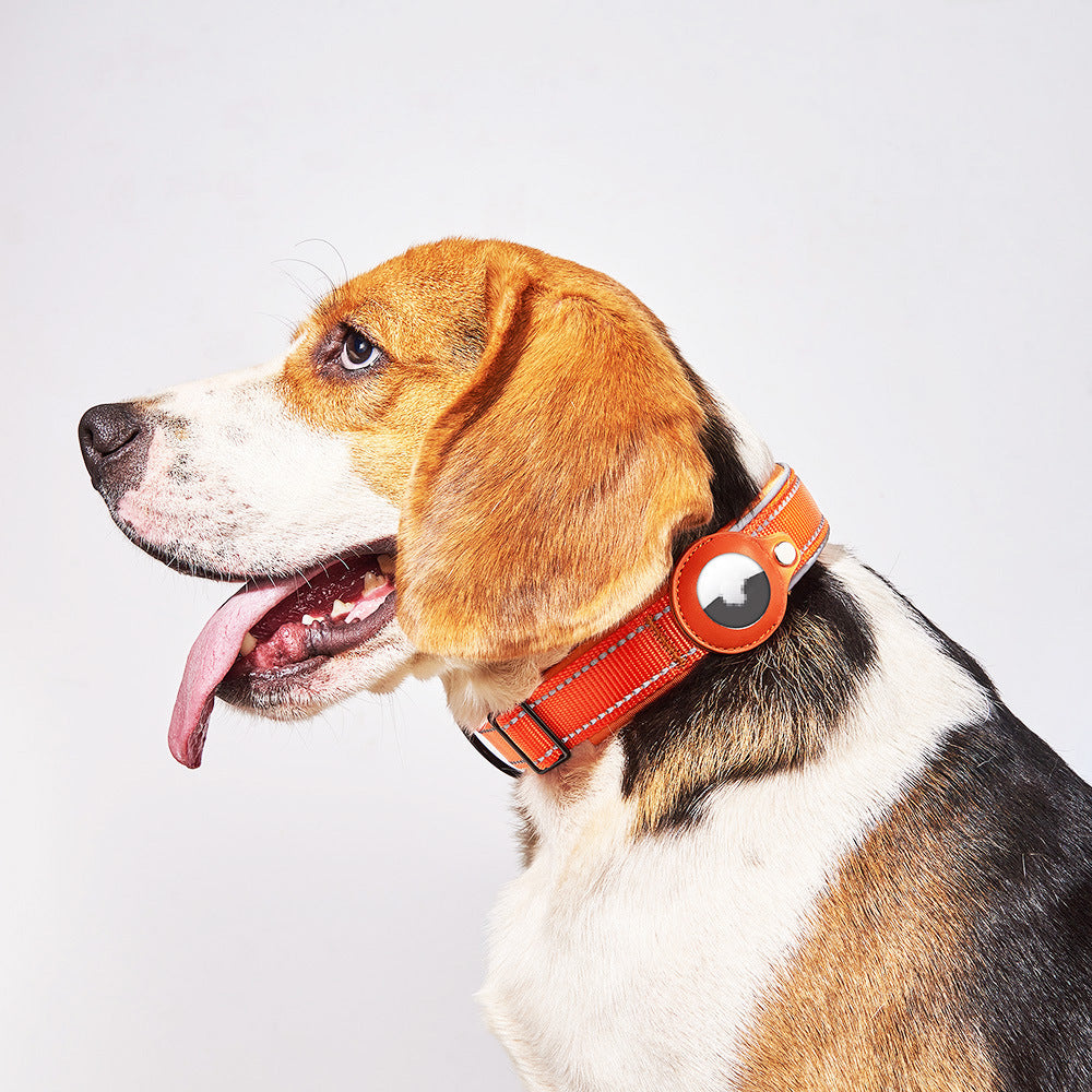 AirTag Collar