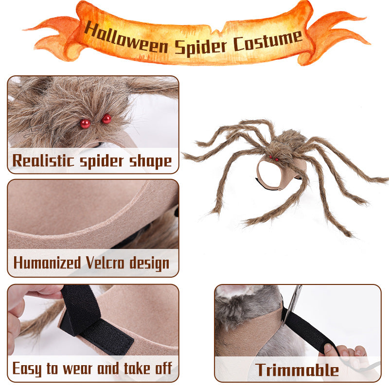 Spider Halloween Costume