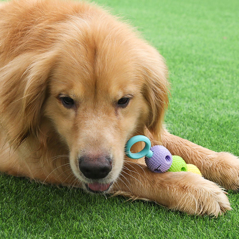 Small Dog/ Puppy teether toy