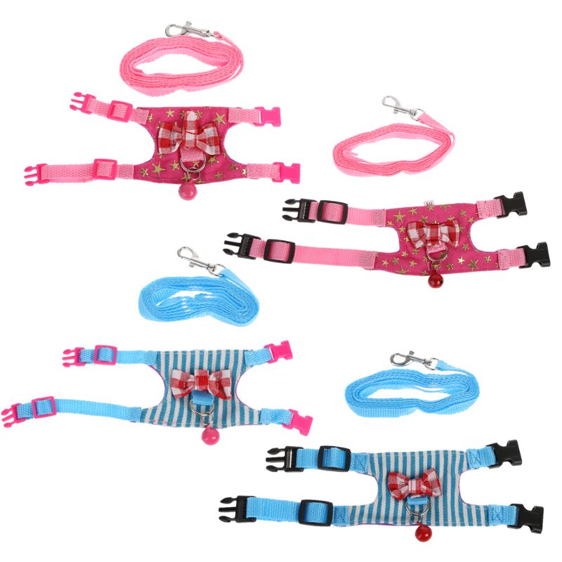 Small Animal Harness/Leash Set