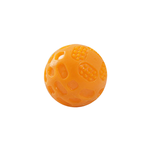 Squeaky Ball Toy