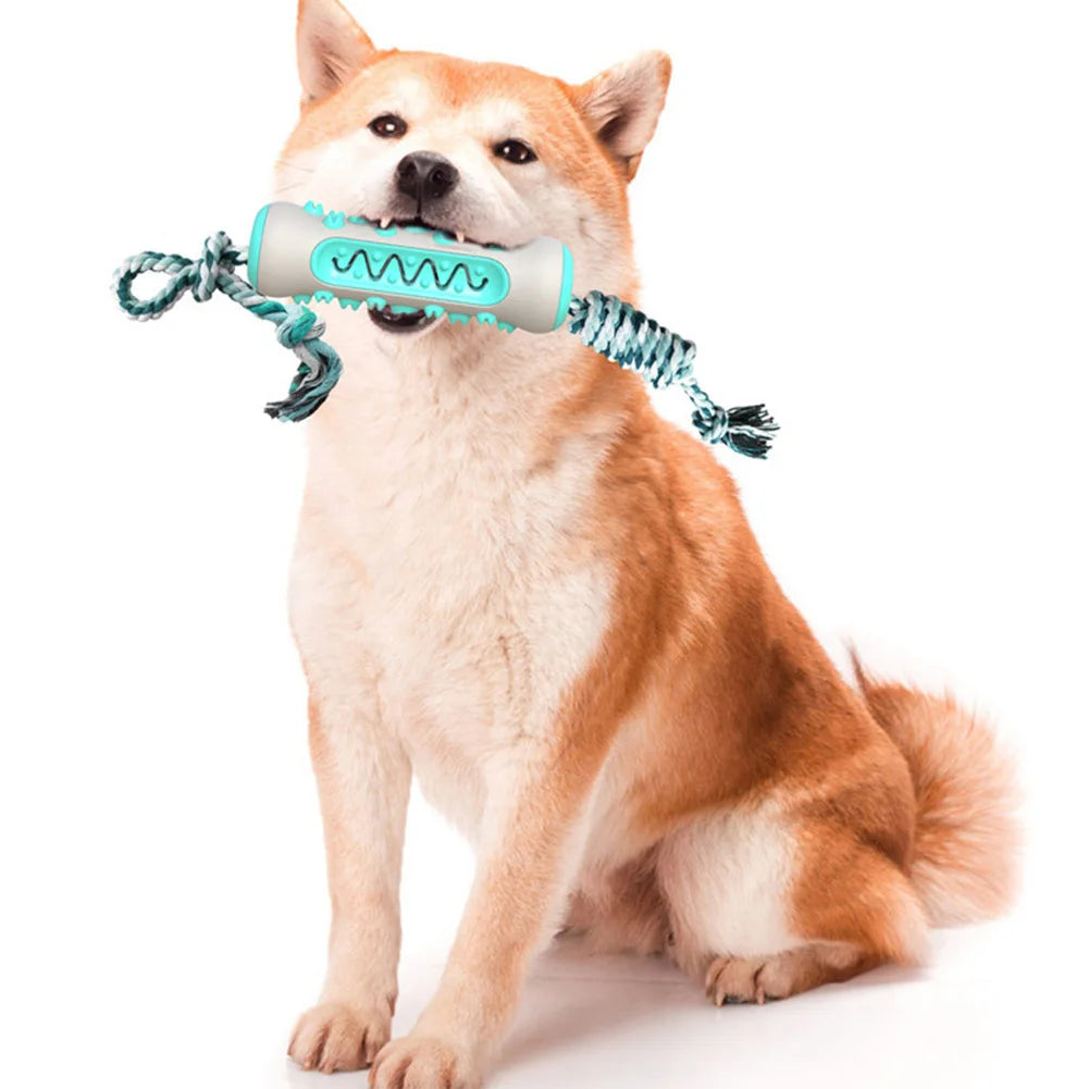 Teeth Cleaning Chew Toy