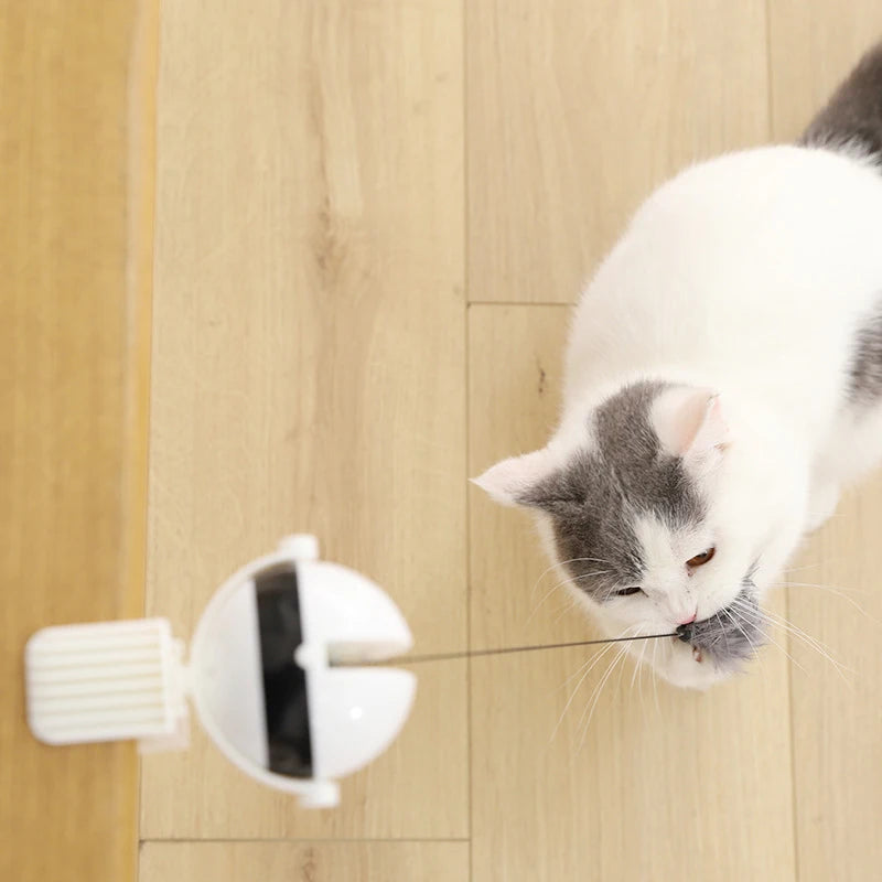 Mounted Electric Cat Teaser Toy