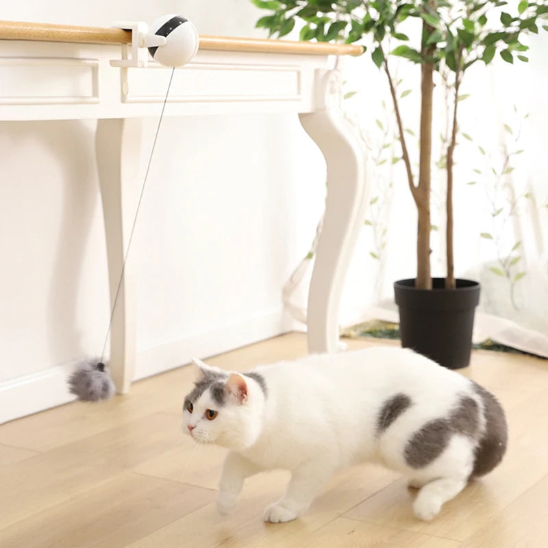 Mounted Electric Cat Teaser Toy