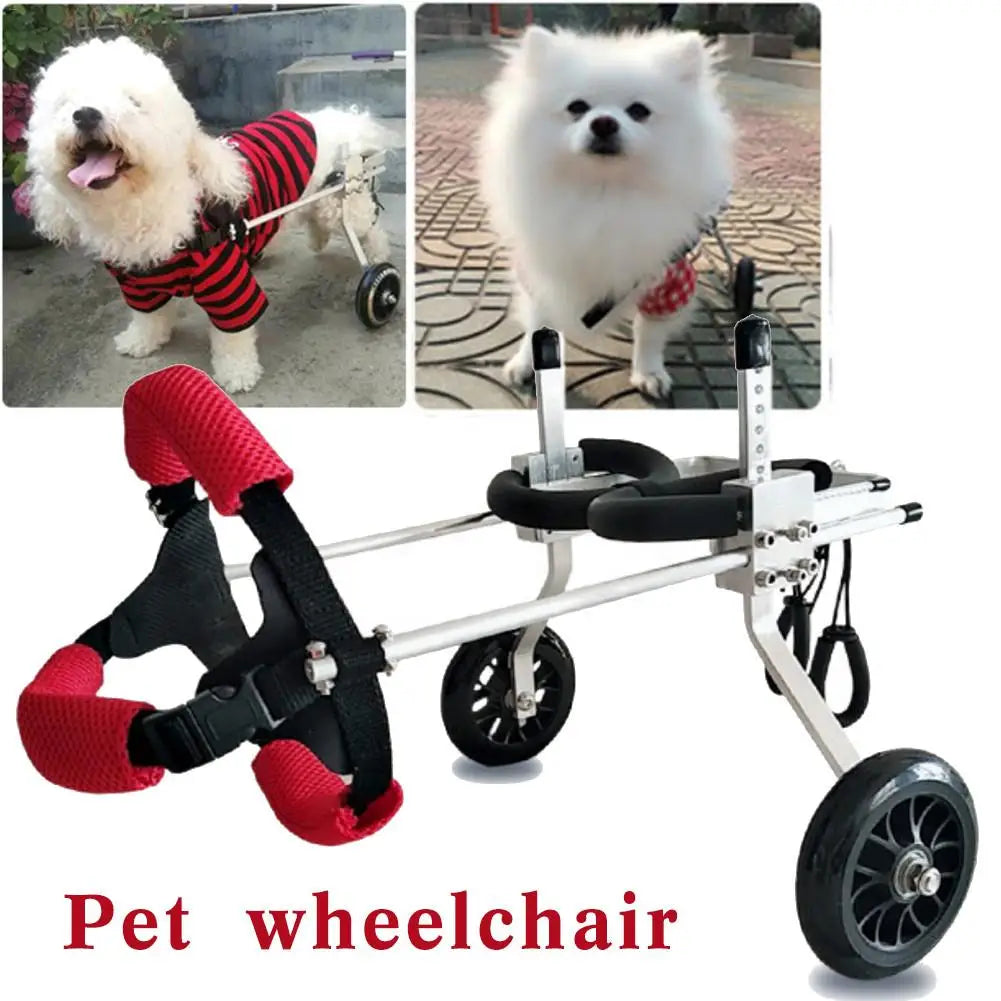 Pet Wheelchair 2 Wheel