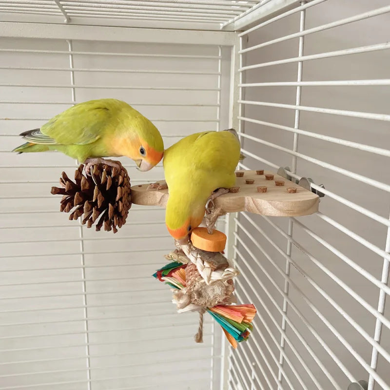 Bird Perch Toy