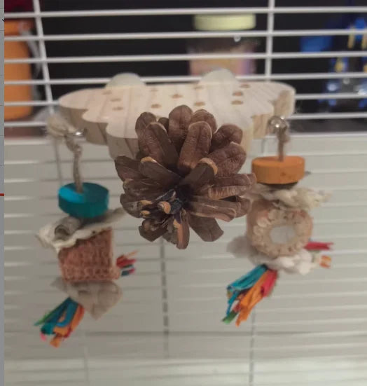 Bird Perch Toy