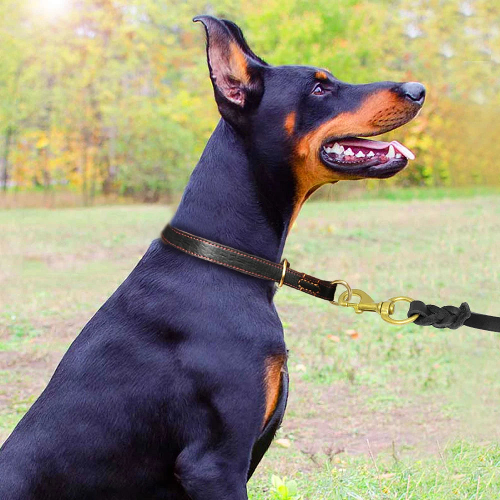 Real Leather Slip Collar