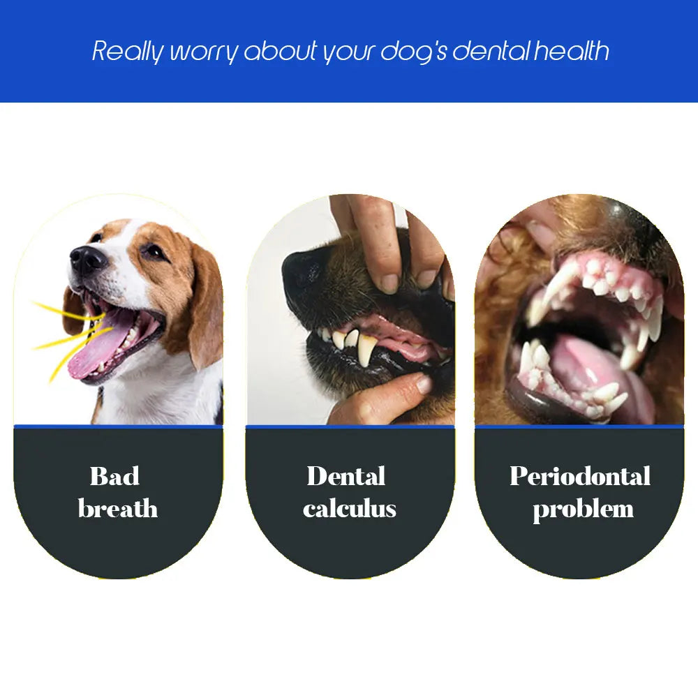 Dog 3 Sided Soft Toothbrush
