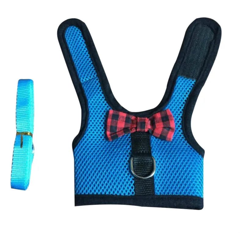 Rabbit/Small Animal Harness