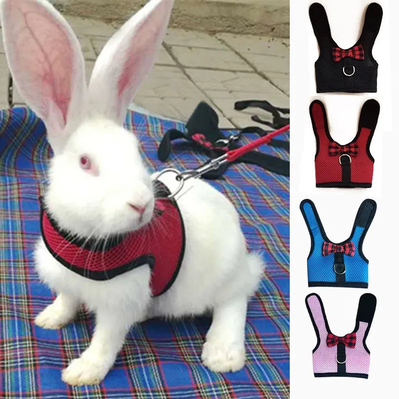 Rabbit/Small Animal Harness